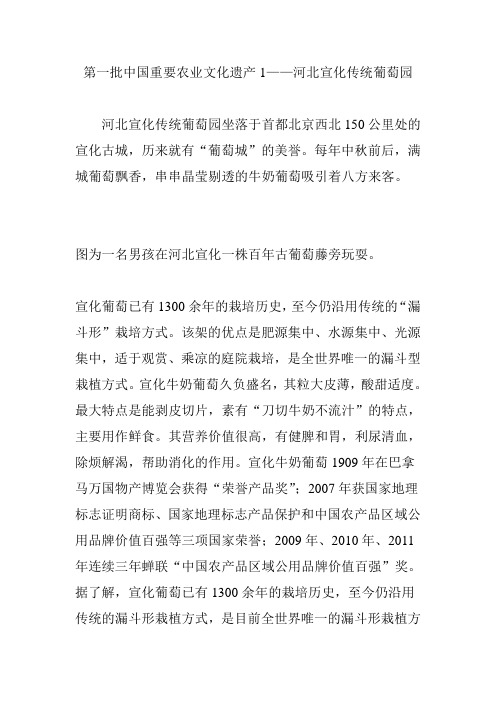 第一批中国重要农业文化遗产1——河北宣化传统葡萄园