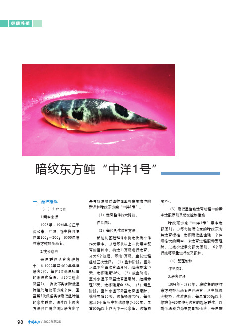 暗纹东方鲀“中洋1号”