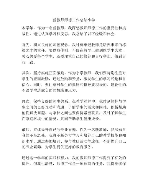 新教师师德工作总结小学