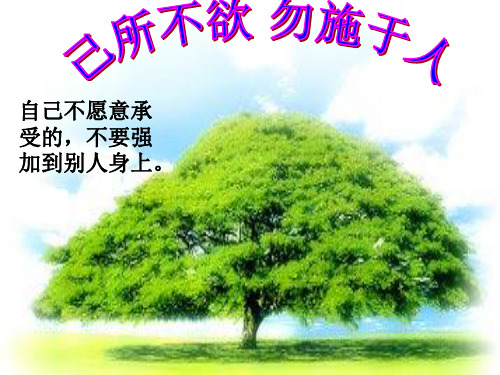 《己所不欲,勿施于人》ppt