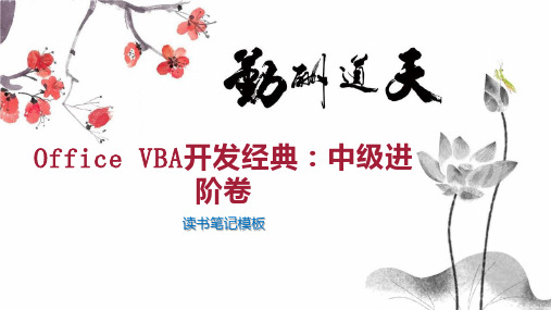 Office VBA开发经典：中级进阶卷