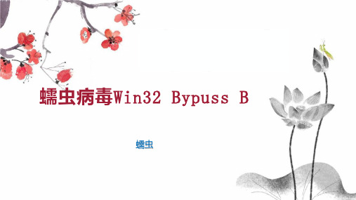 蠕虫病毒Win32 Bypuss B