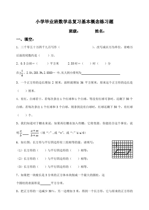 人教版小学六年级数学毕业总复习分类专项练习题基本概念