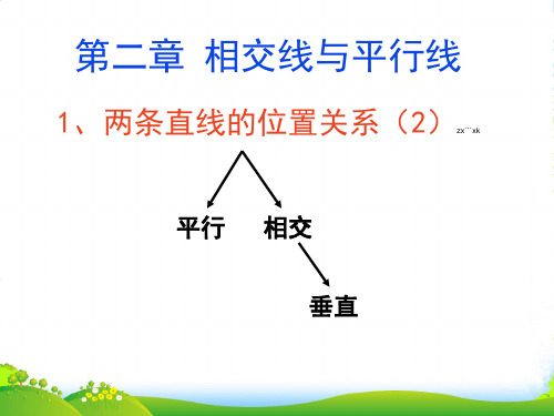 北师大版七年级数学下册第二章《相交线与平行线》课件