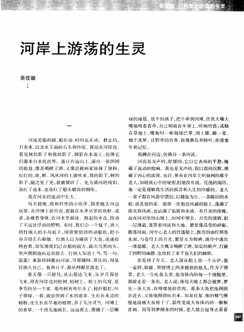 河岸上游荡的生灵