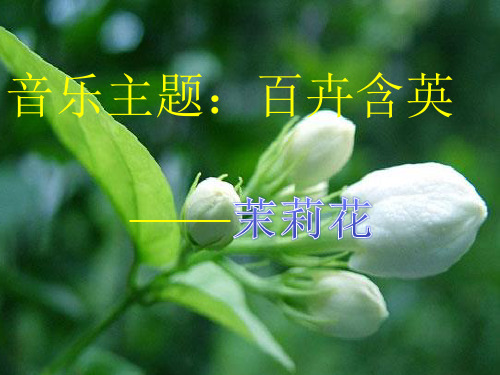 茉莉花音乐课件