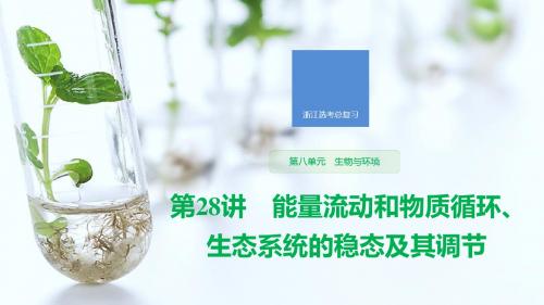 浙江省2020版高考生物第28讲能量流动和物质循环、生态系统的稳态及其调节课件