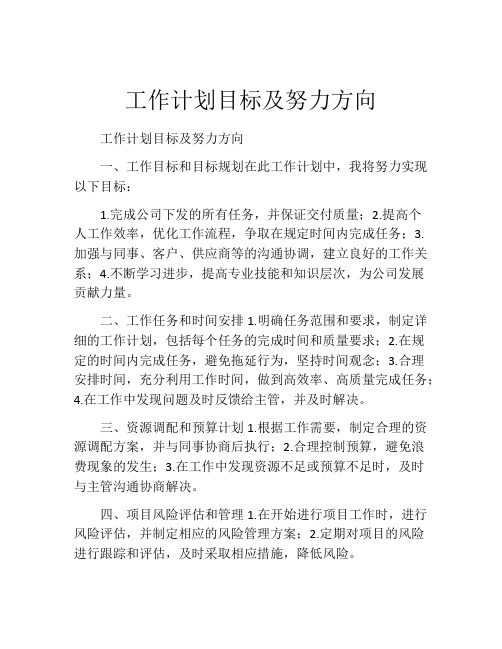 工作计划目标及努力方向