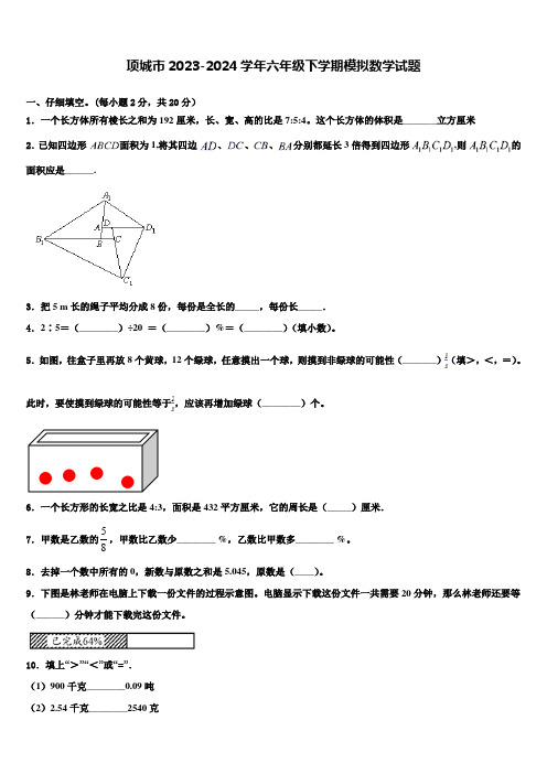 项城市2023-2024学年六年级下学期模拟数学试题含解析