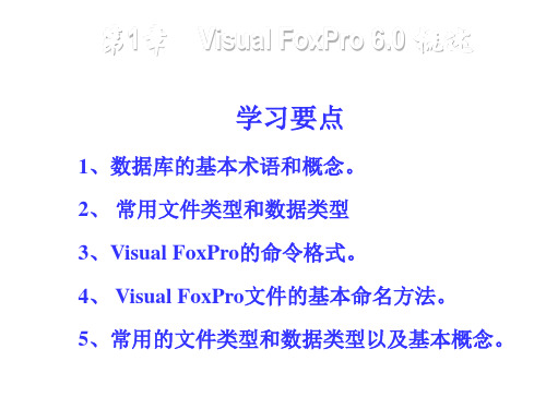 VFP6电子教案第1章(Visual FoxPro 6.0概述)