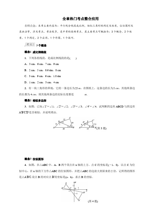 全章热门考点整合应用(11)