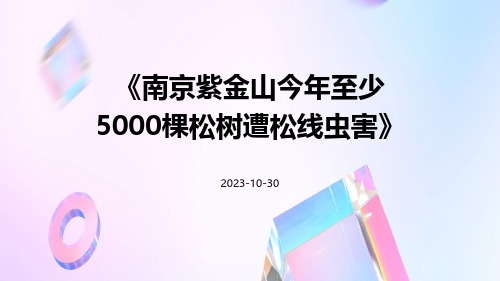 南京紫金山今年至少5000棵松树遭松线虫害