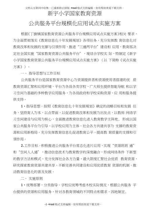 公共服务平台规模化应用试点实施方案