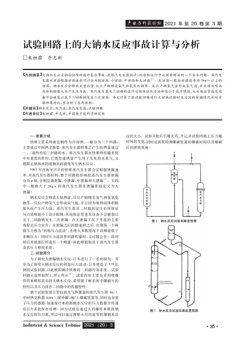 试验回路上的大钠水反应事故计算与分析