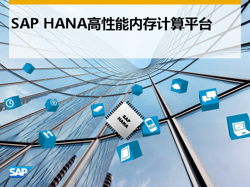 SAP HANA高性能内存计算平台