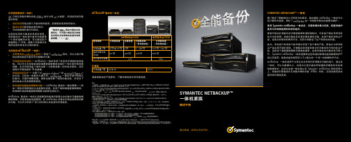 symantec备份一体机白皮书