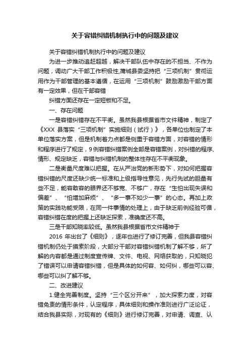 关于容错纠错机制执行中的问题及建议