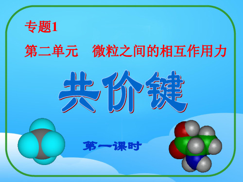 沪科版化学高一上册-3.3 共价键  课件   _2ppt