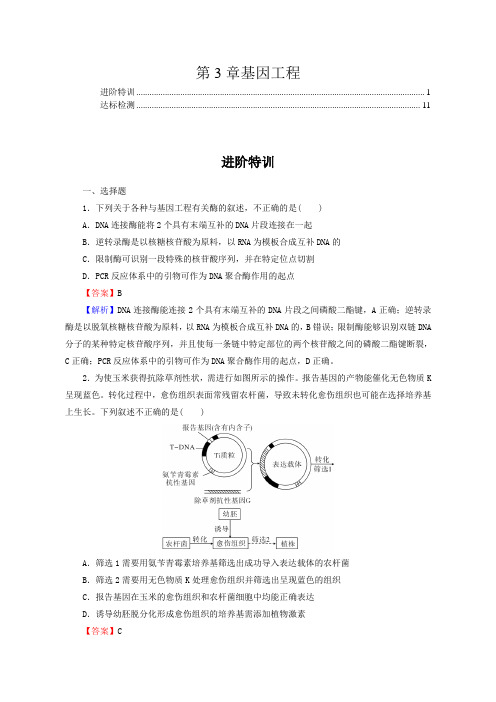 新教材人教版高中生物选择性必修3第3章基因工程 进阶特训及章末检测含答案解析