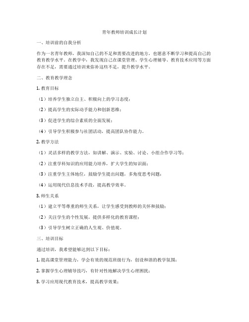 青年教师培训成长计划