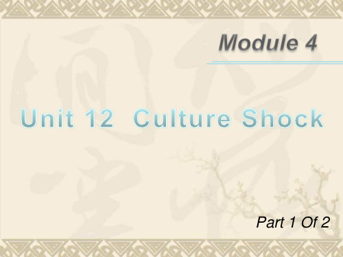 【学海导航】广东省高三英语第一轮总复习 Module4 Unit12 Culture Shock(1)课件 北师大版 新课标