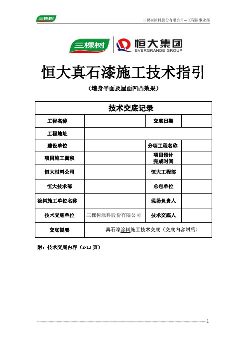 恒大真石漆技术指引(墙身平面效果及屋面凹凸效果)