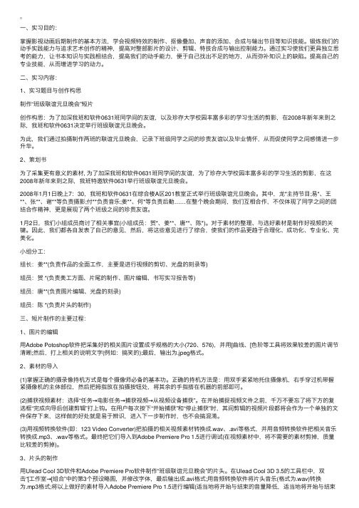 视频编辑实习报告