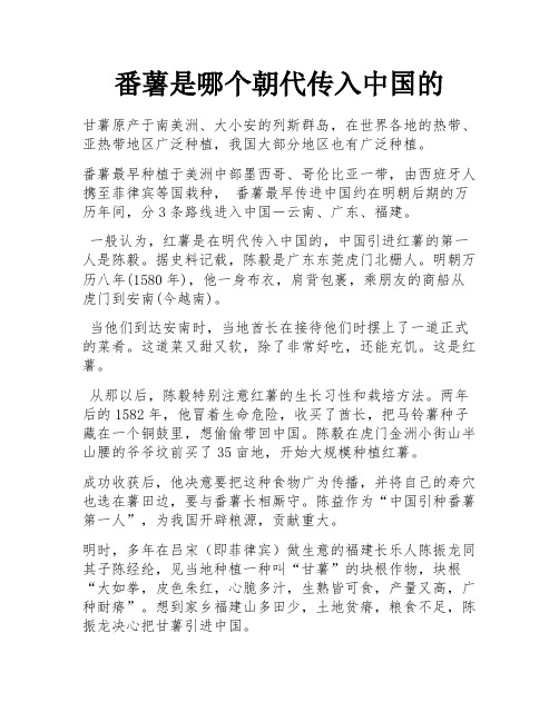 番薯是哪个朝代传入中国的