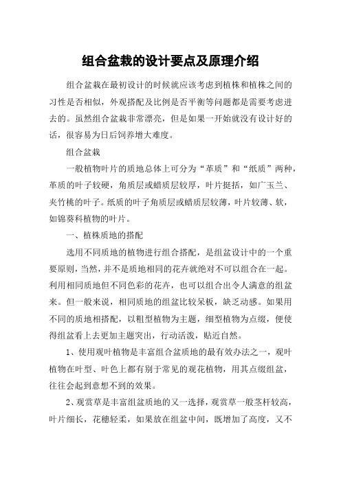 组合盆栽的设计要点及原理介绍