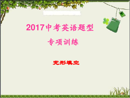 2017上海中考英语完形填空专项复习