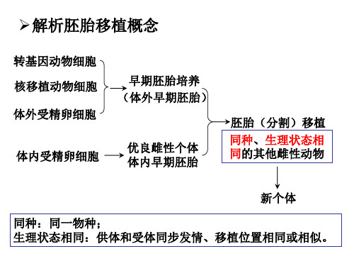 胚胎分割和胚胎干细胞培养sun.pptx