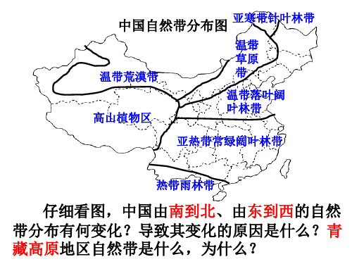 自然地理环境的差异性6 ppt课件