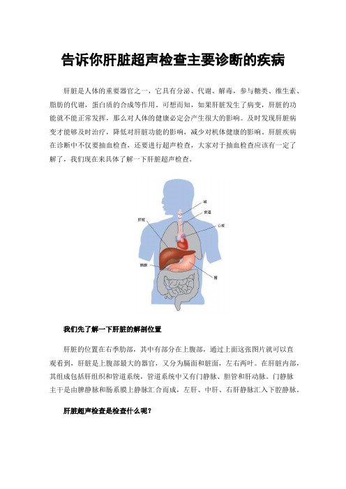 告诉你肝脏超声检查主要诊断的疾病