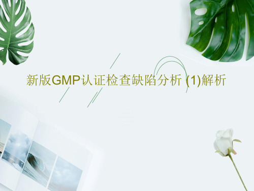 新版GMP认证检查缺陷分析 (1)解析共69页