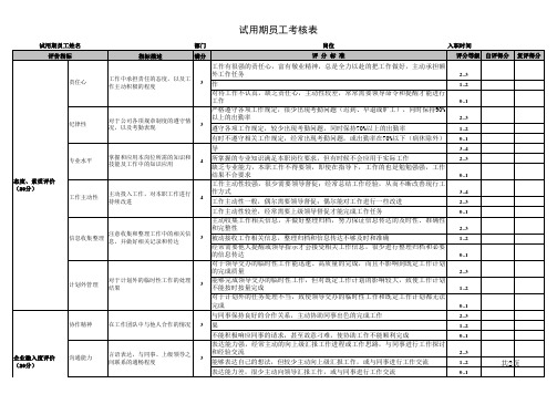 试用期员工月度绩效考核表