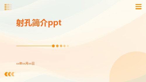 射孔简介(待编辑)ppt