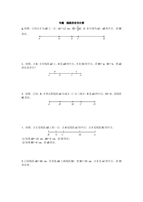 线段的有关计算 专题训练