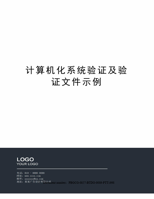 计算机化系统验证及验证文件示例