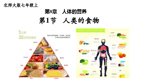 第一节人类的食物课件2023-2024学年北师大版生物七年级下册