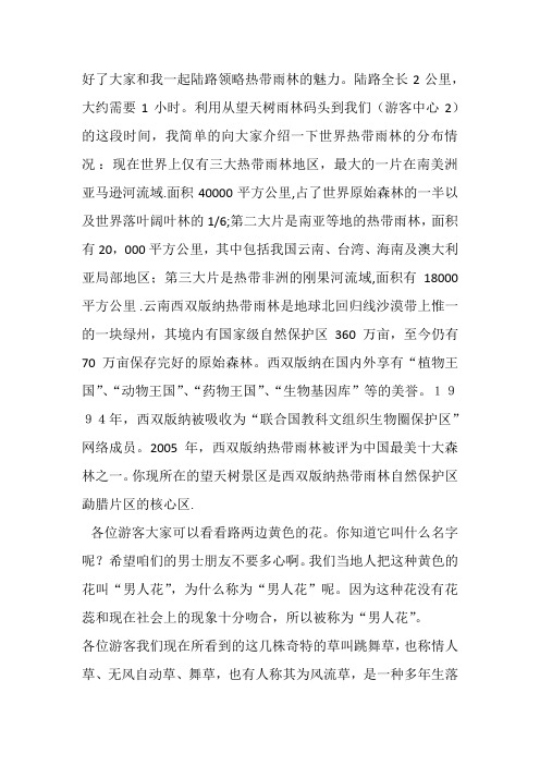 望天树导游词