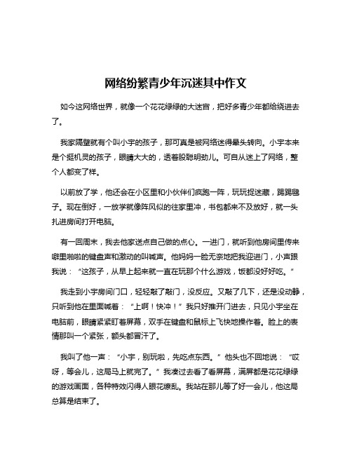 网络纷繁青少年沉迷其中作文