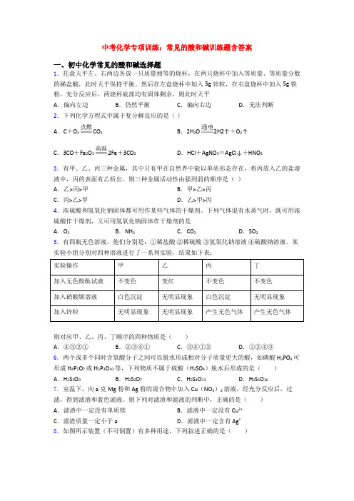 中考化学专项训练：常见的酸和碱训练题含答案