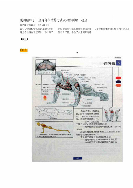 全身部位锻炼方法及动作图解