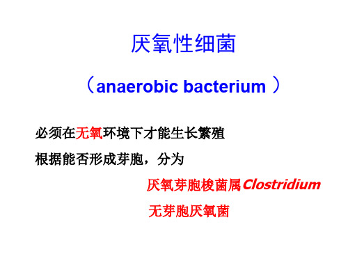 厌氧菌课件