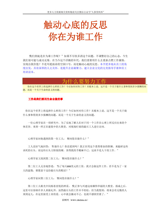 企业文化专题-员工培训与企业文化建设的好教材《你在为谁工作》