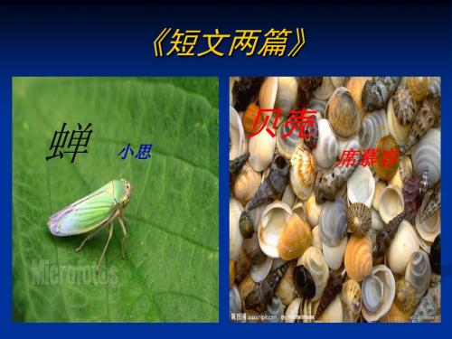 《短文两篇》PPT课件人教版七年级语文上册