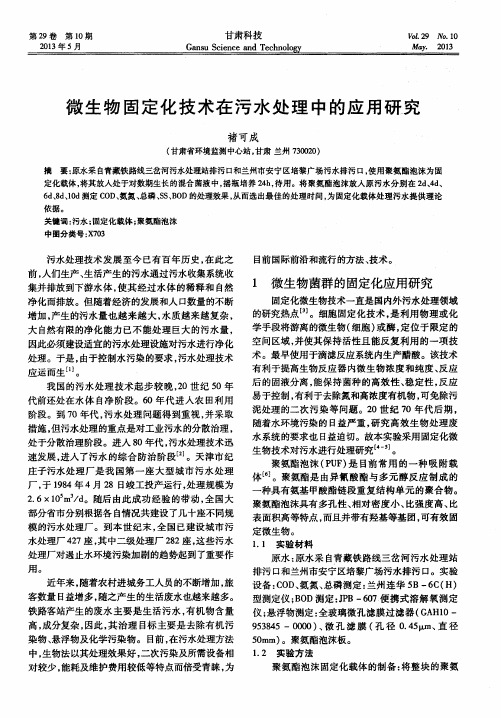 微生物固定化技术在污水处理中的应用研究