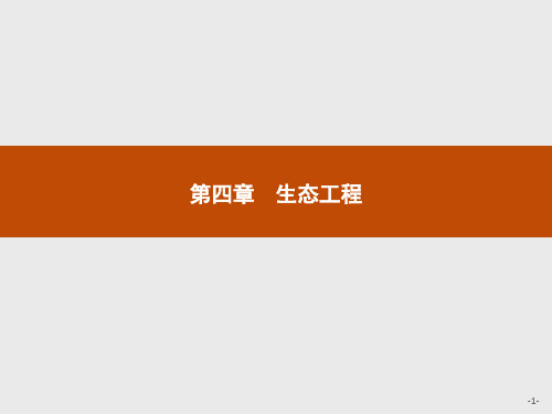 高中生物苏教版选修3课件：4.1生态工程及其原理