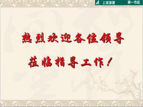 陈家镇中滨路二期(东滩大道~北沿公路)新建工程2标汇报