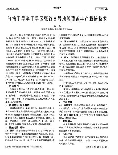 张掖干旱半干旱区张谷6号地膜覆盖丰产栽培技术